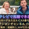 ドクター・ドッグ 心を救う最強の相棒テレビ放送・見逃し配信視聴方法