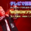NAOTO 20th Anniversary Live「SERENDIPITY」テレビ放送・見逃し配信視聴方法