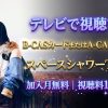 V.I.P. ―aiko―テレビ放送・見逃し配信視聴方法