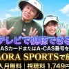 コスモヘルスカップ 日本プロゴルフグランド・ゴールドシニア選手権大会2026テレビ放送・見逃し配信視聴方法