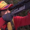 劇場版 クマと民主主義