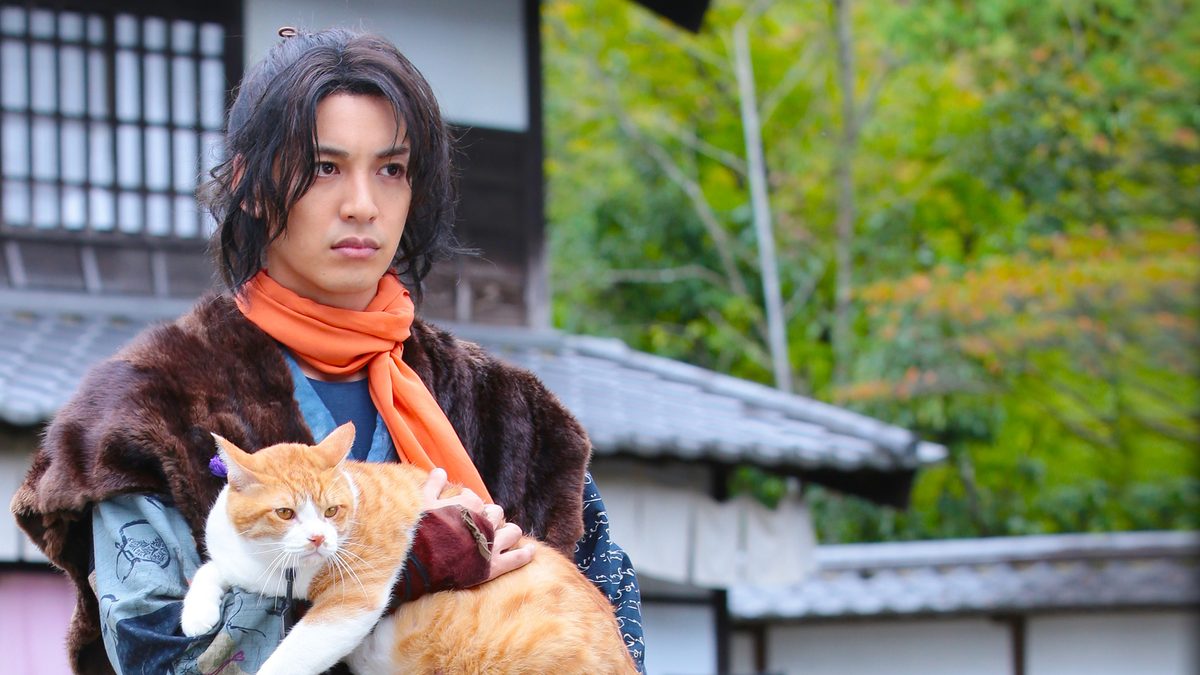 劇場版 猫忍