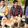 劇場版 柴公園