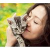 グーグーだって猫である