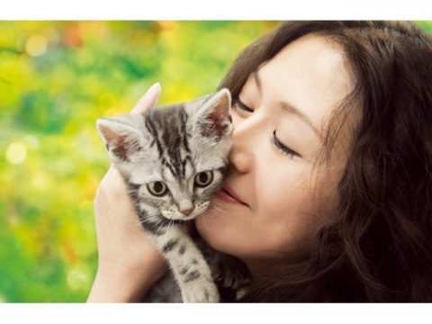 グーグーだって猫である