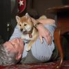 HACHI 約束の犬