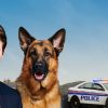ハドソン＆レックス　～セントジョンズ警察シェパード犬刑事 S2