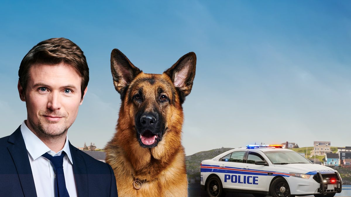 ハドソン＆レックス　～セントジョンズ警察シェパード犬刑事 S2