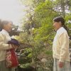 花衣夢衣