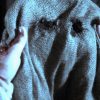 ハロウィン・チェーンソー・キラー ビギニング