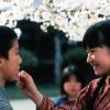 橋のない川
