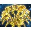 聖闘士星矢・黄金魂