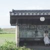 仄めく泡