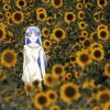 星界の紋章 特別編