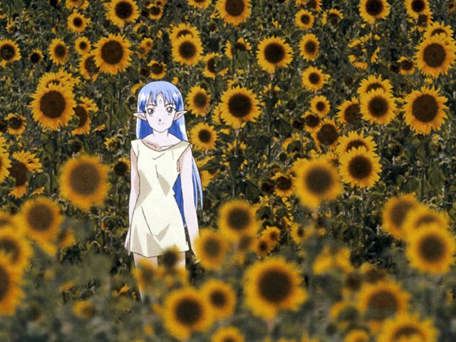 星界の紋章 特別編