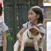 犬どろぼう完全計画