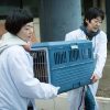 犬に名前をつける日