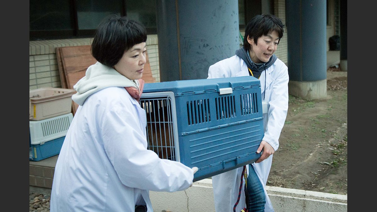 犬に名前をつける日