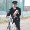 犬のおまわりさん