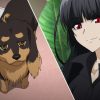 犬とハサミは使いよう