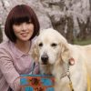 犬と私の10の約束