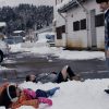 愛しのアイリーン