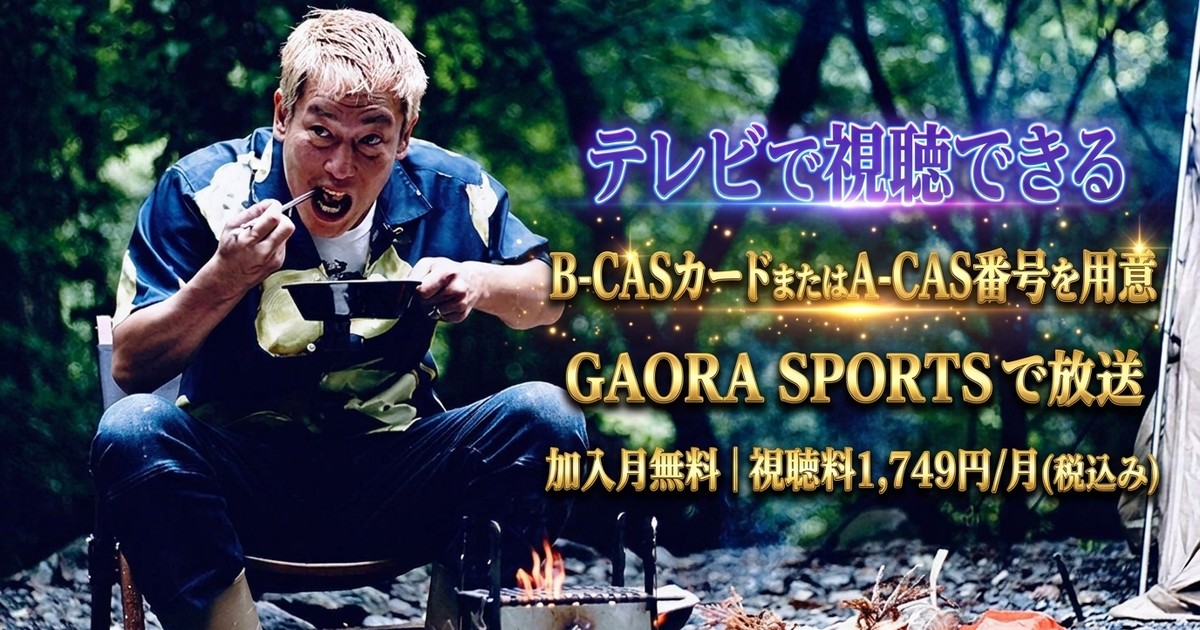 じゅんいちダビッドソンの下手なキャンプでごめんなさい テレビ放送視聴方法