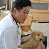 獣医さん、事件ですよ