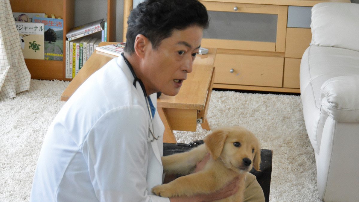 獣医さん、事件ですよ