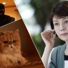 科捜研の女 season23