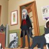 カワイスギクライシス