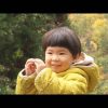 風の波紋