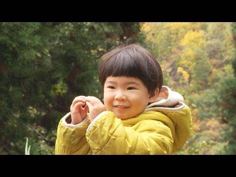 風の波紋