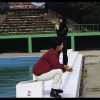 樹の上の草魚