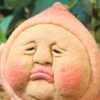 こびとす