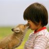 子ぎつねヘレン