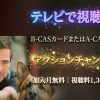 レックス～ウィーン警察シェパード犬刑事～テレビ放送・見逃し配信視聴方法