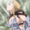 クイーンズブレイド 流浪の戦士