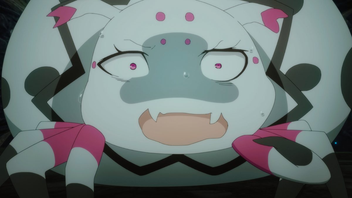 蜘蛛ですが、なにか?