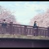 君の膵臓をたべたい