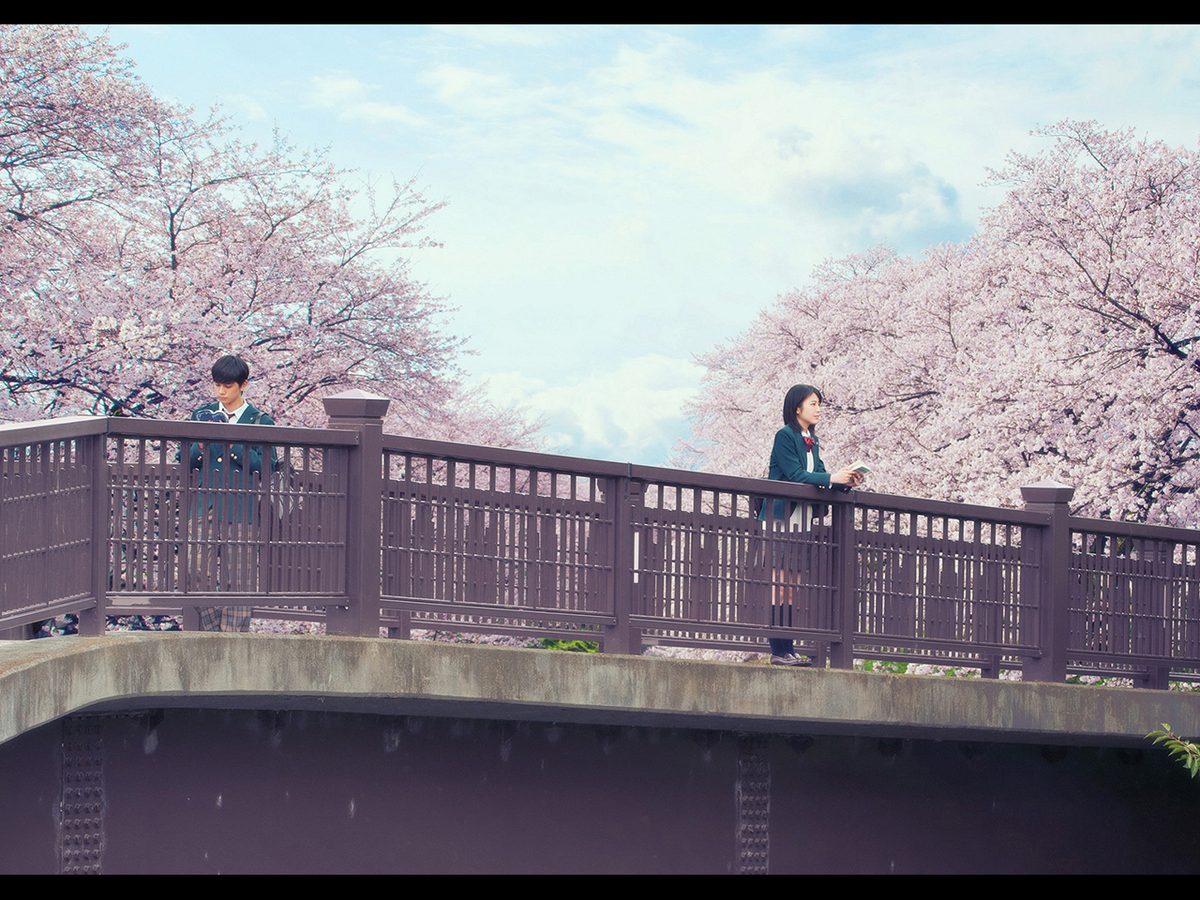 君の膵臓をたべたい