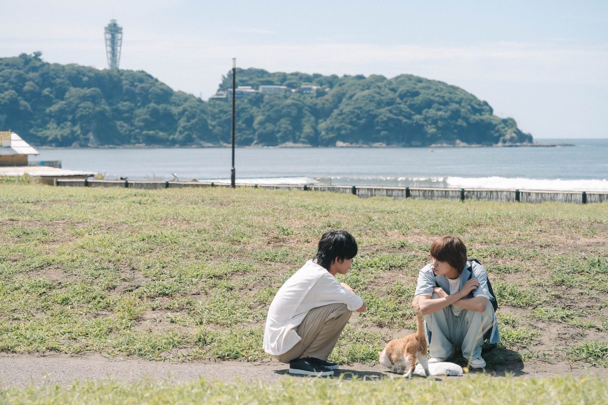 「君となら恋をしてみても」
