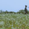 君と私
