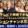 マドリード失踪人捜査課テレビ放送・見逃し配信視聴方法