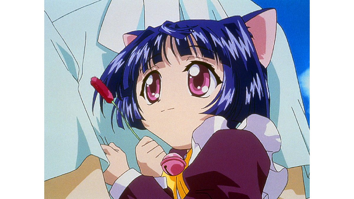 「魔法少女猫たると」