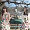 めがみさま