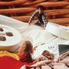 ミクロキッズ3（字幕）