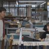 見習い弁護士パン・イエン