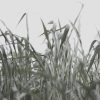 MINIMA2「残響」
