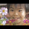 モバドラvol.1 【FLOWER SHOP DIARY】